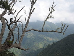 patrimonio cultural de haíti:El Parque Nacional Histórico situado en Milot, en el norte de Haití, comprende las ruinas del Palacio de San...