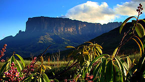 patrimonio natural de venezuela:El Parque Nacional Canaima es un parque nacional ubicado en el estado Bolívar, Venezuela. Fue instaurado ...