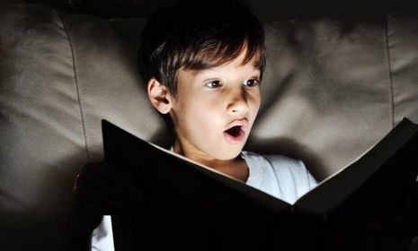 ME HA ENCANTADO EL LIBRO. ES MISTERIOSO, CONTIENE TERROR Y MUCHAS DE LA TEORÍAS NO TE LAS ESPERAS.
