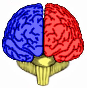 CONTENIDOS PSICOMOTICIDAD TRABAJO EN GRUPO