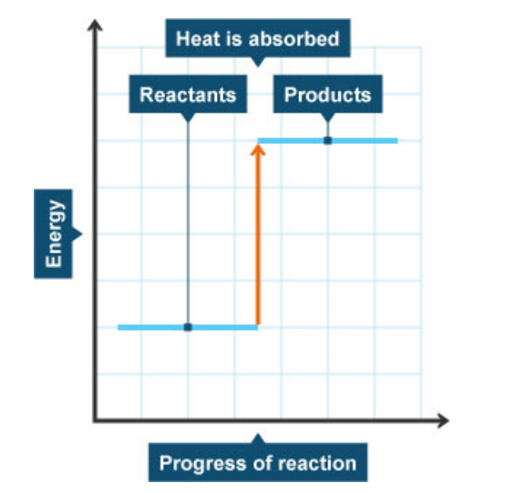 Draw an energy level diagram to represent an exothermic reaction