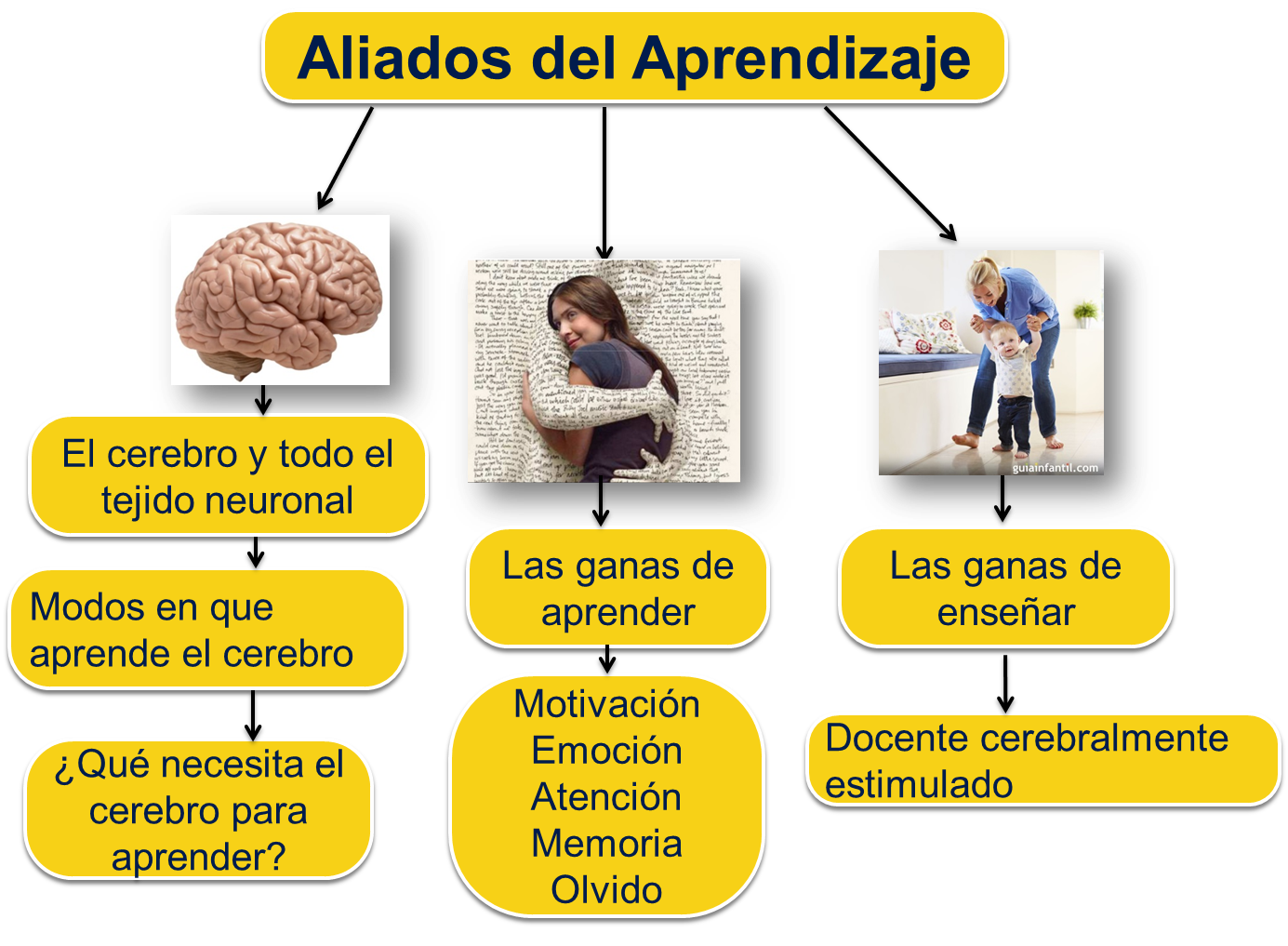 Primera Sesión MCE