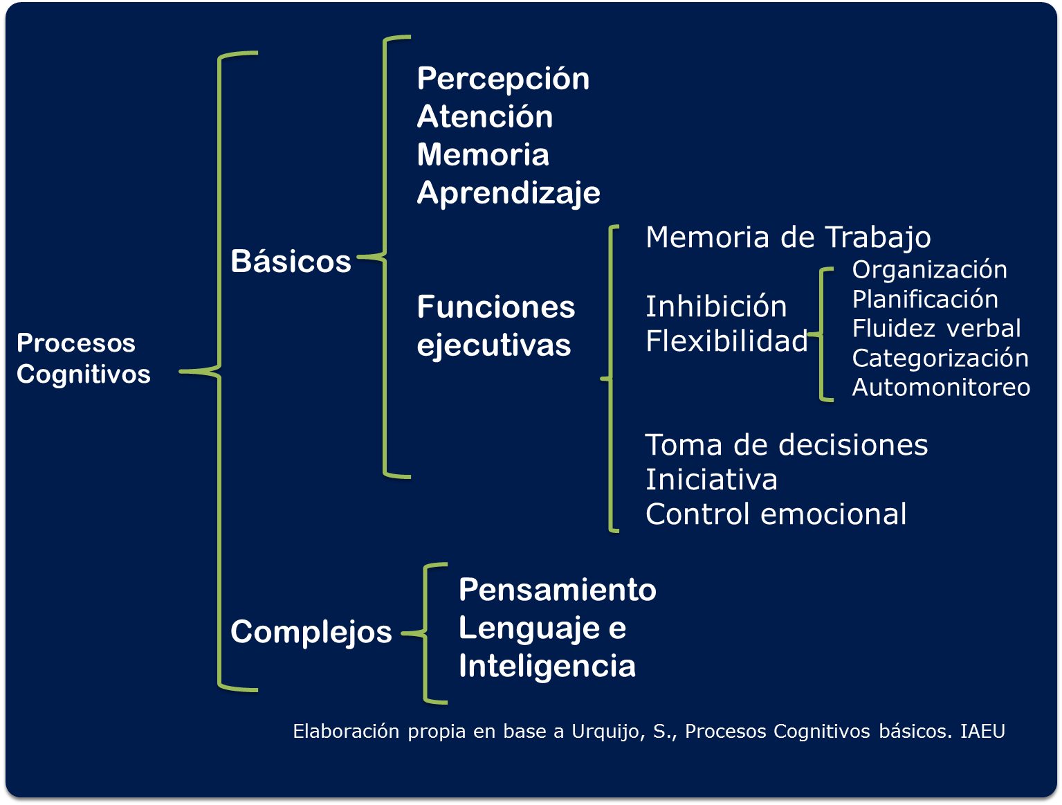 Tipos de procesos cognitivos