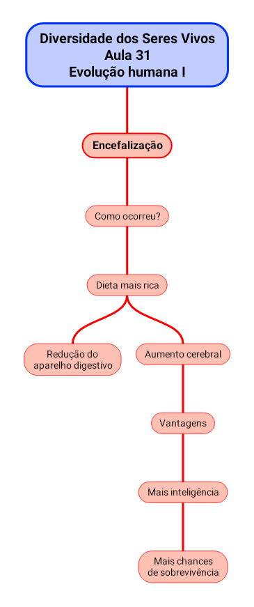Aula 31: Evolução humana I