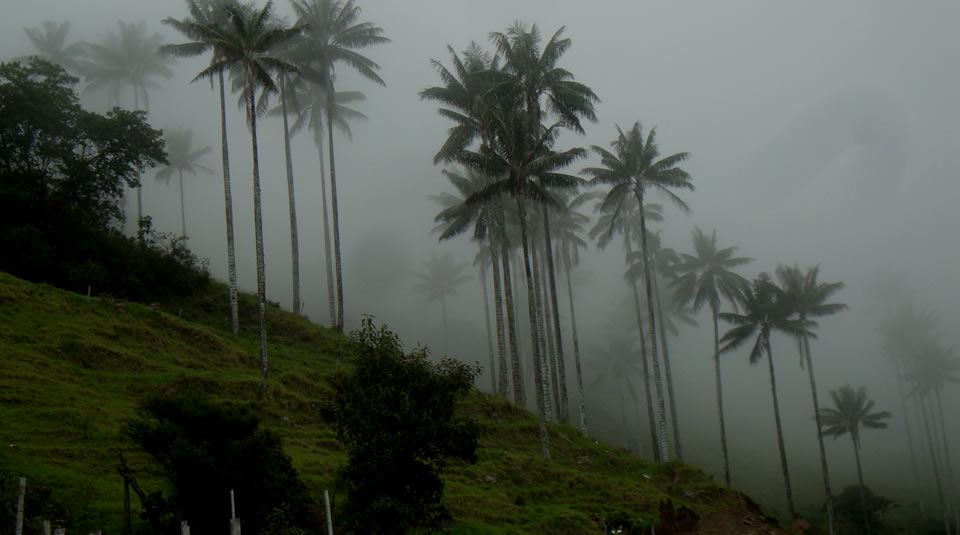 Áreas Protegidas en Colombia