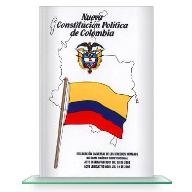 ESTRUCTURA CONSTITUCIONAL
