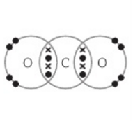 Image for option A