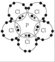 Image for option B