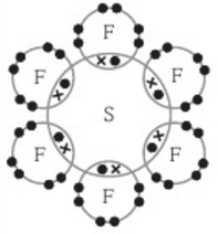 Image for option C
