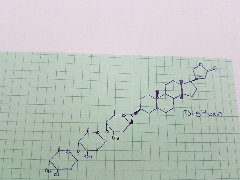 herzwirksame glycoside