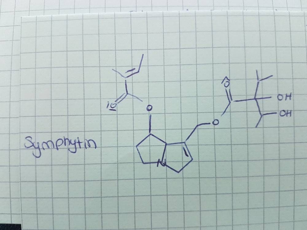 Pyrrolizidin Alkaloid