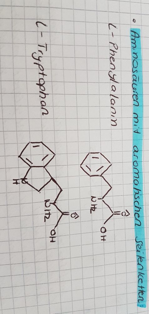 aminosäuren mit aromatischen seitenketten