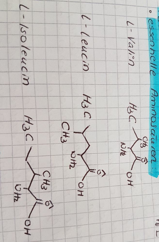 essentielle aminosäuren