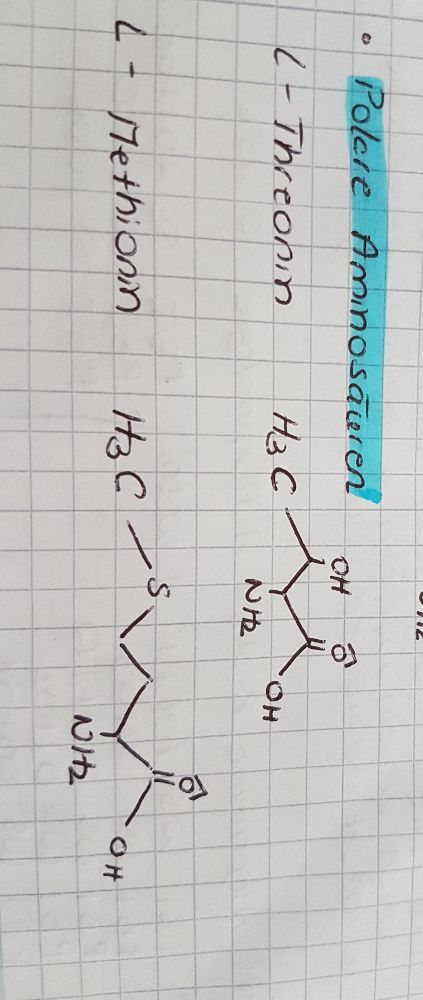 polare aminosäuren