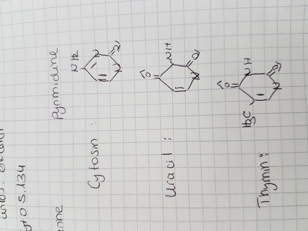 pyrimidine