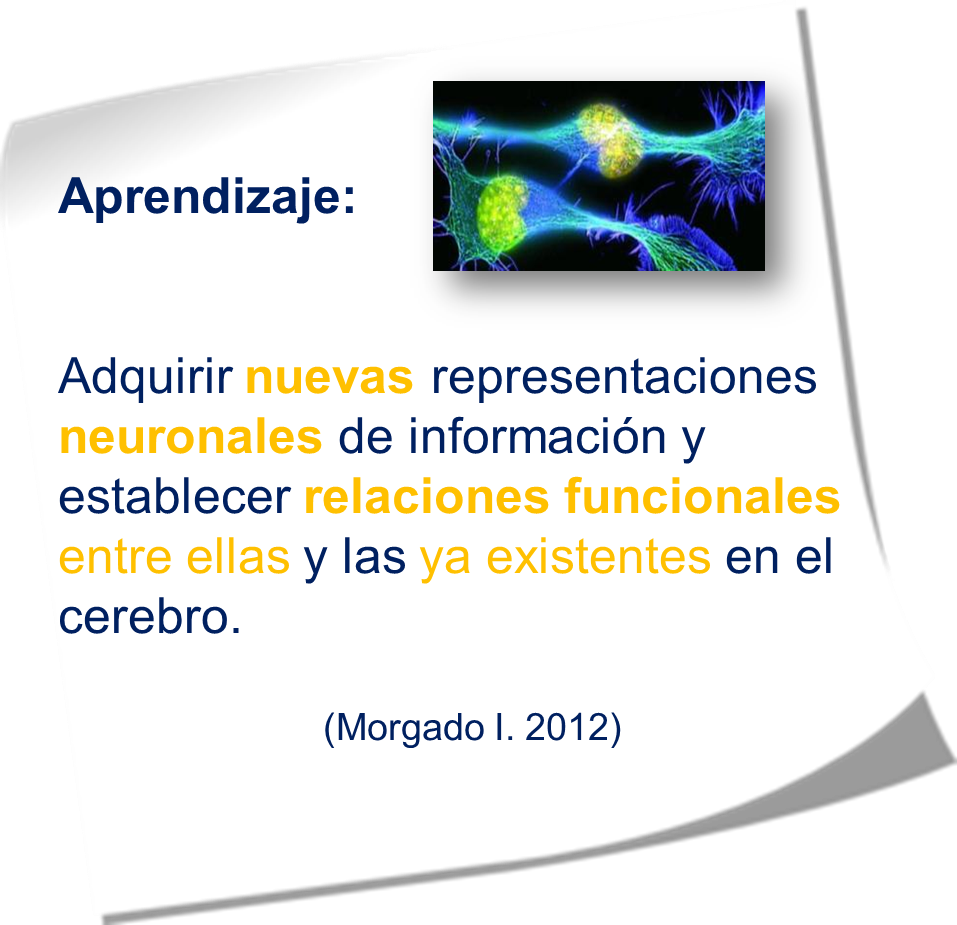 Principios del aprendizaje basado en el cerebro