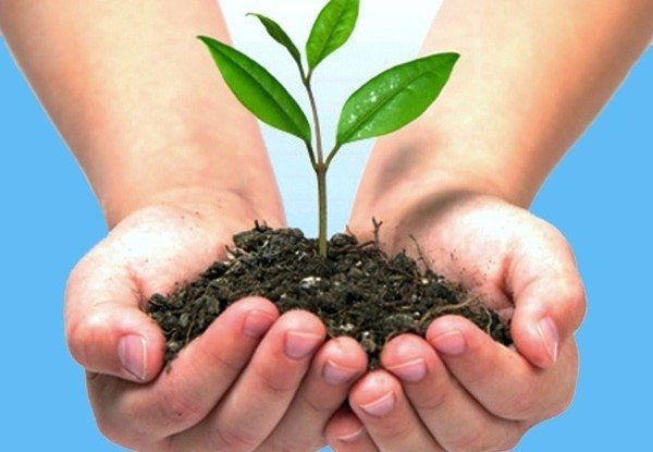 Su impacto en el medio ambiente