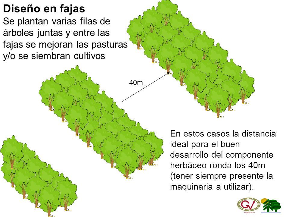 PROTECCIÓN DE INVERNADEROS CONTRA EL VIENTO
