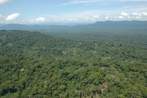 Espacios húmedos de África