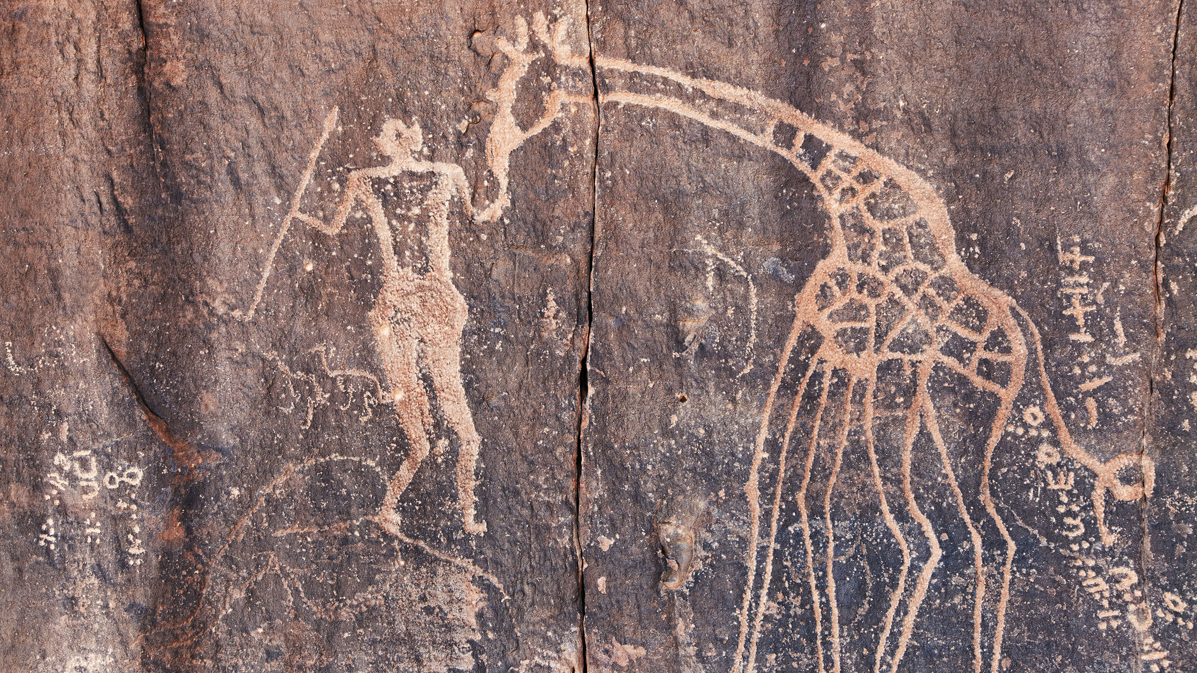 Algunas sorpresas del desierto del Sáhara