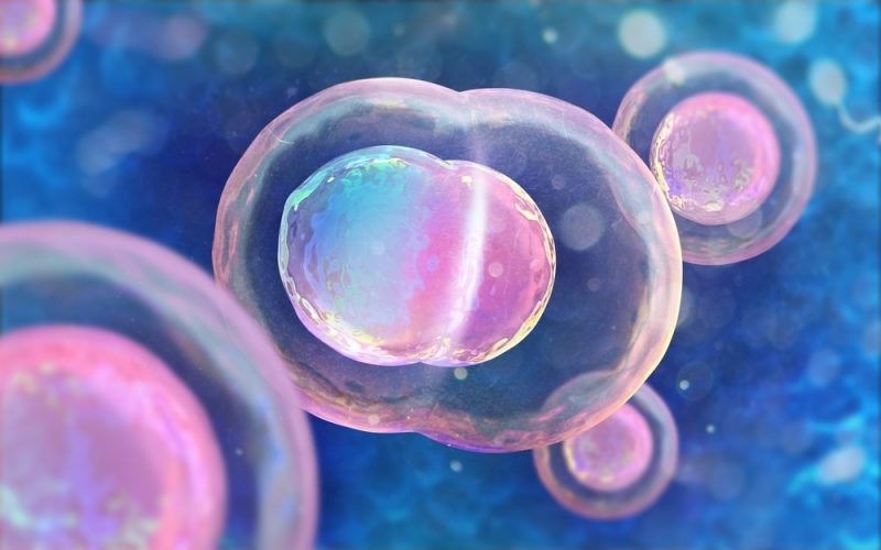 FORMACIÓN DE PROTEÍNAS