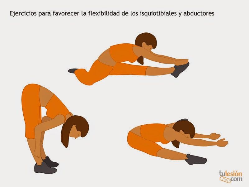 c) Estiramiento del musculo extensor de la rodilla, del tibia anterior, del extensor largo del dedo gordo.