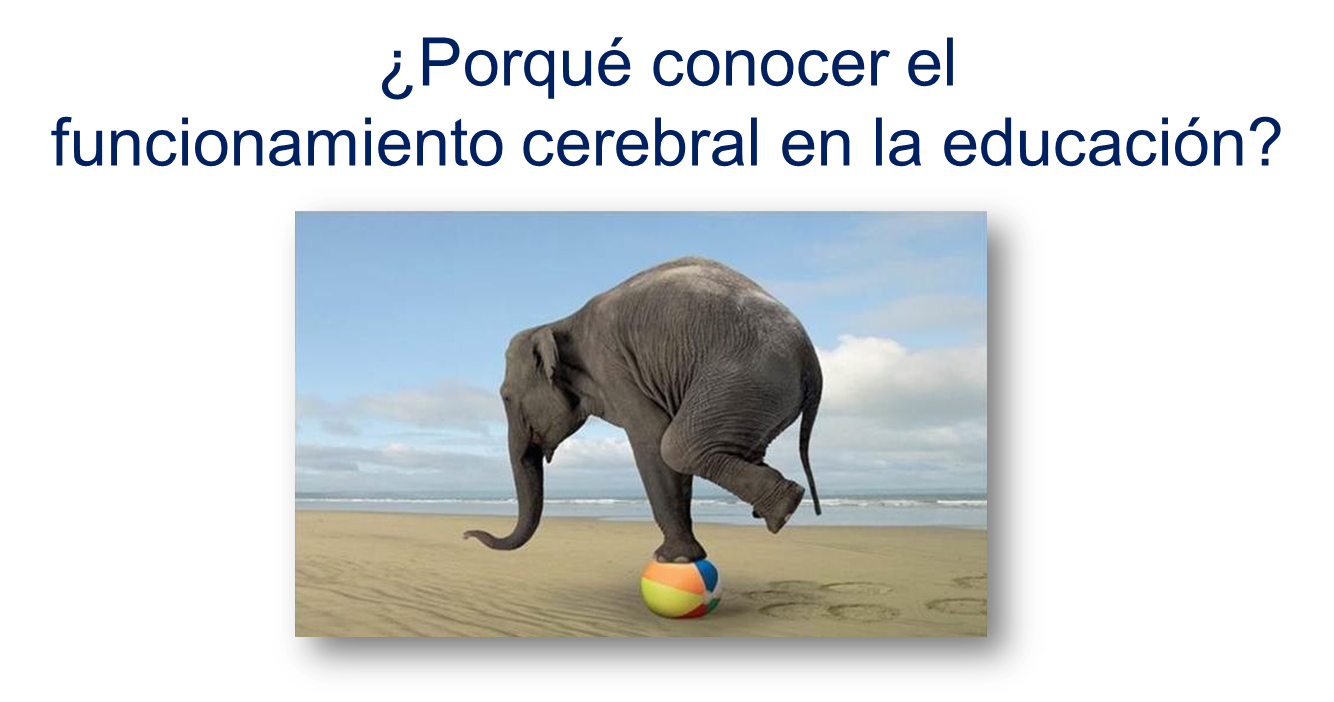 Funcionamiento cerebral en la educación