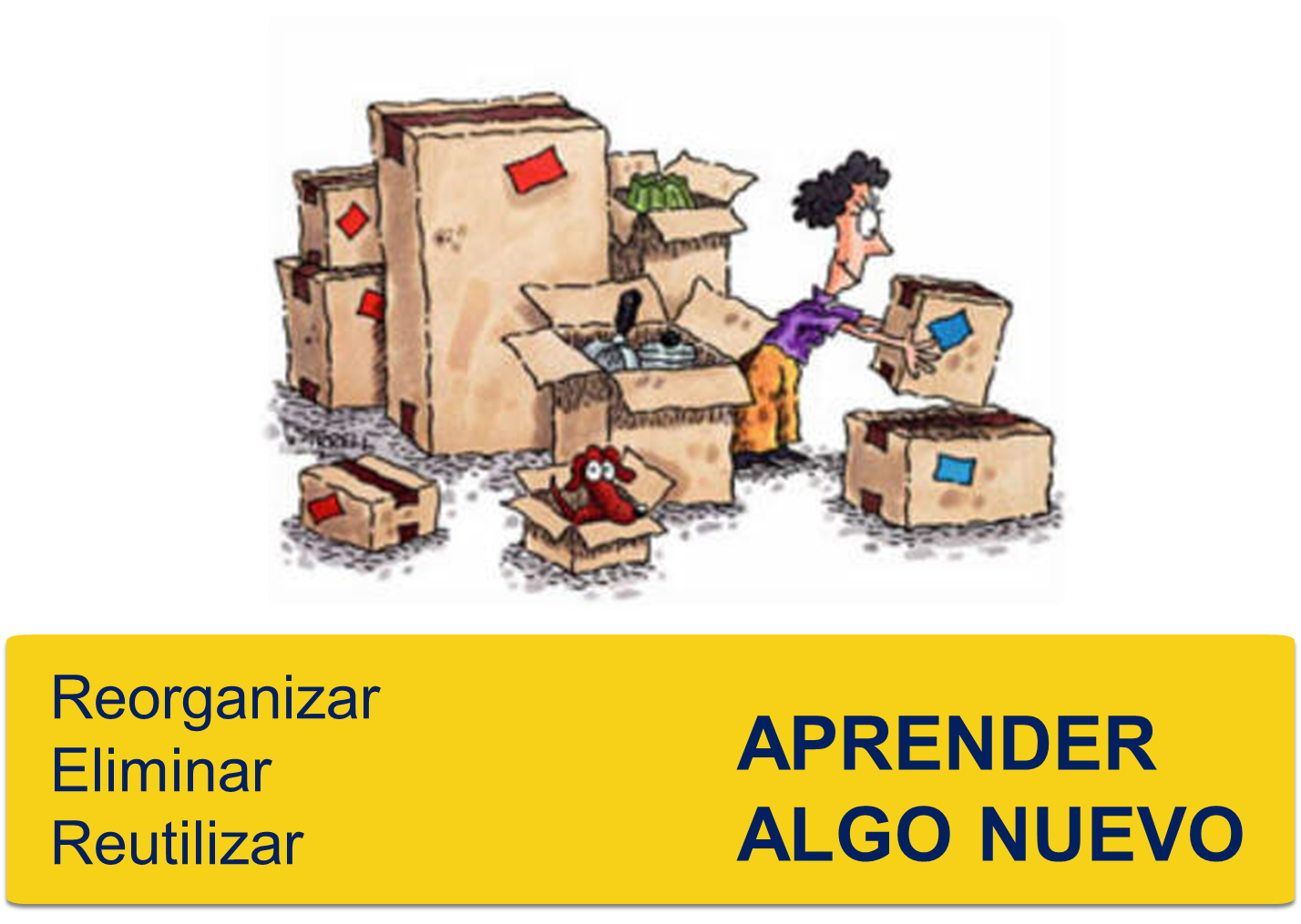 Funcionamiento cerebral en la educación