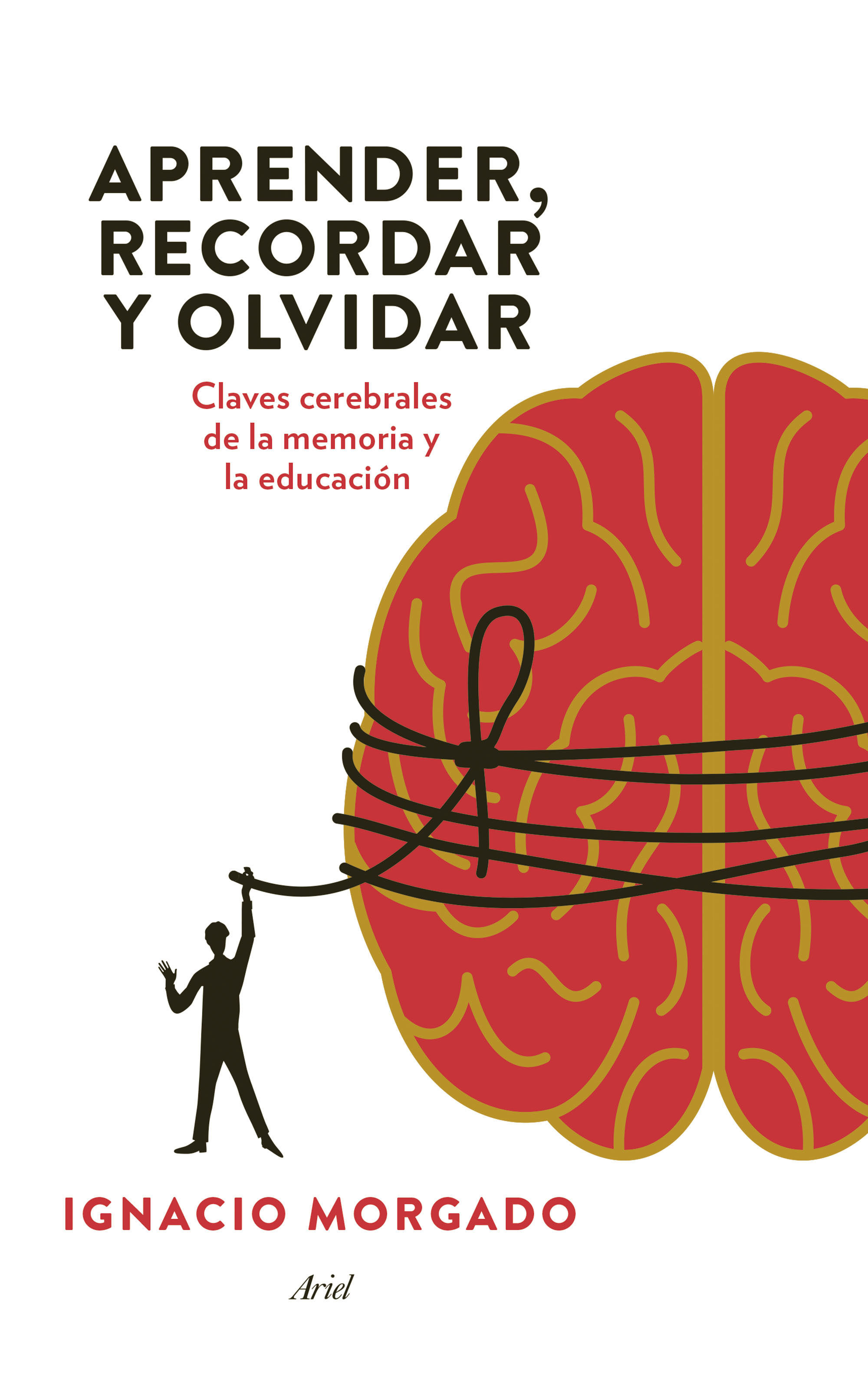 Funcionamiento cerebral en la educación