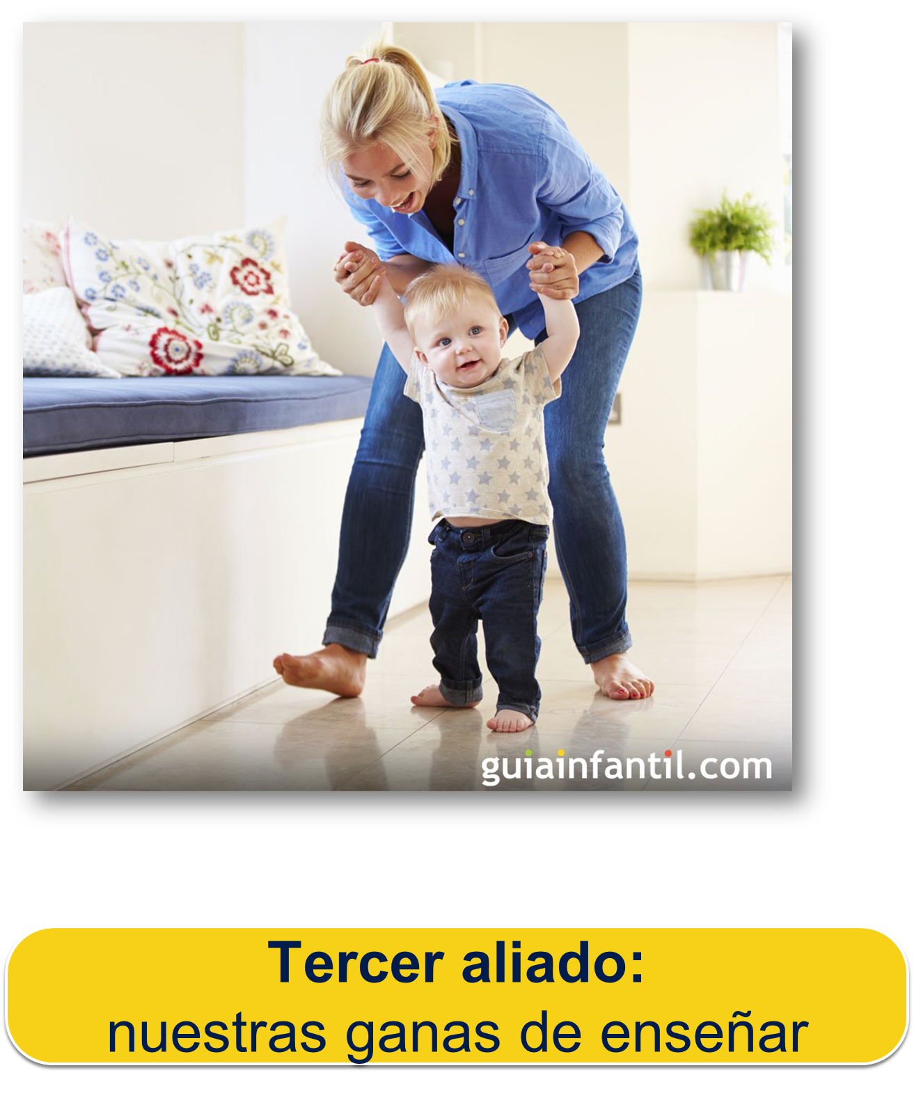 Funcionamiento cerebral en la educación
