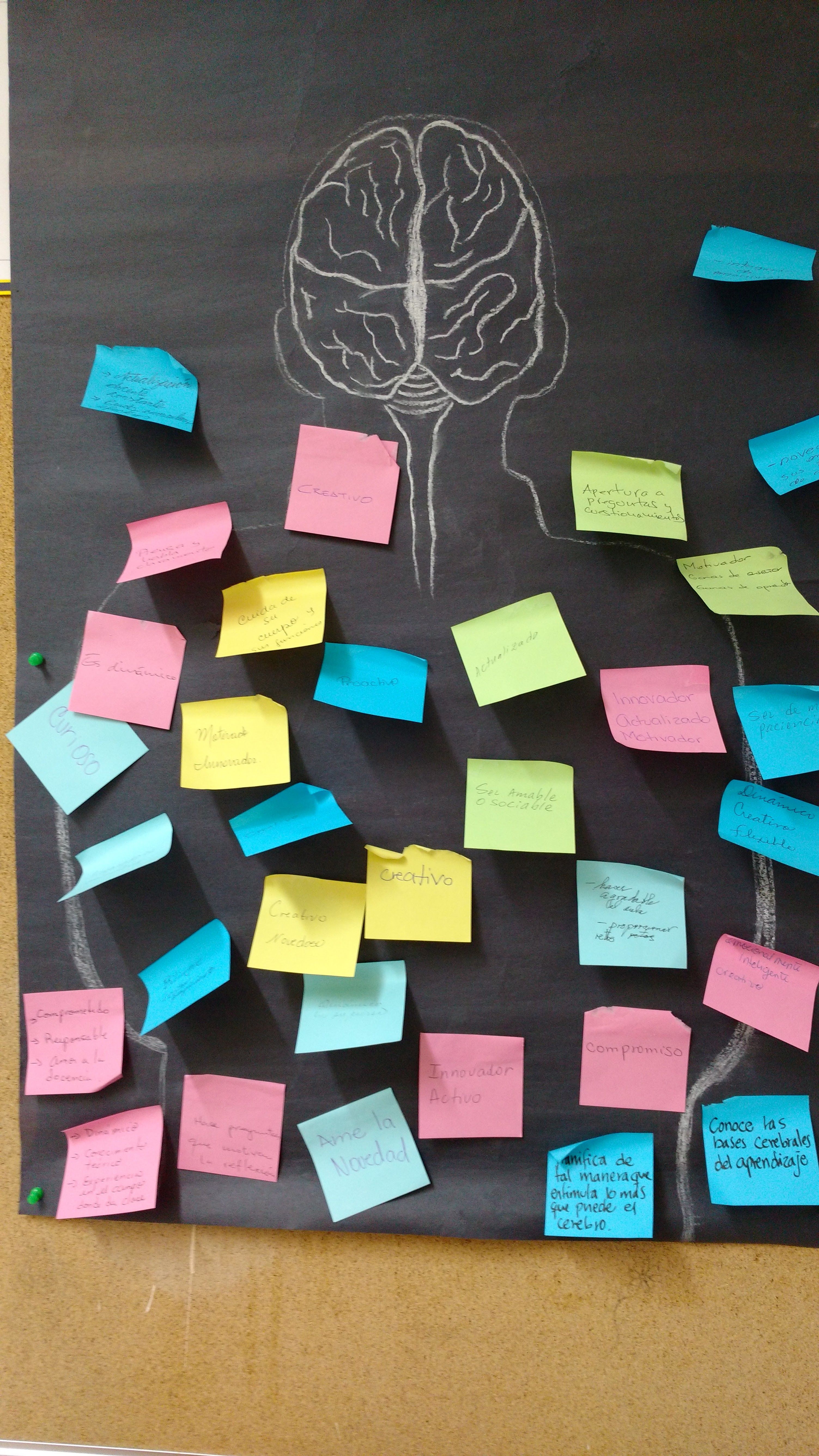 Funcionamiento cerebral en la educación