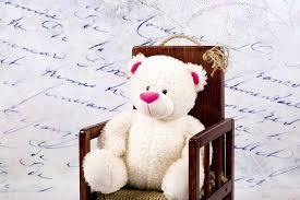 Ustanowione w 2002 roku w 100. rocznicę powstania zabawki "miś" nazwanego na cześć Theodora (Teddego) Roosevelta ang. Teddy Bear.