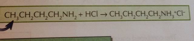 Give the equation for the neutralisation of butylamine. Name the product