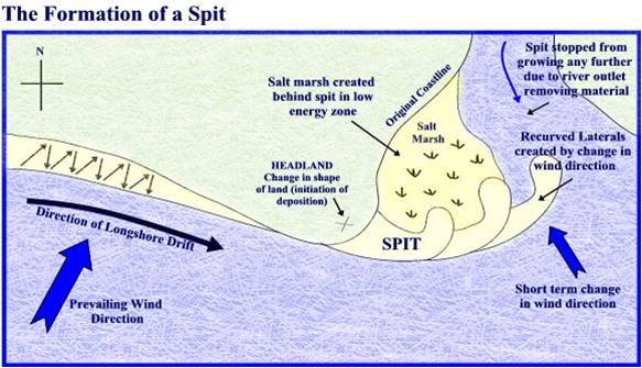 Diagram of the formation of a spit