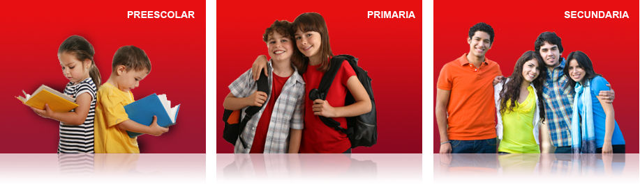 Perfil de egreso de la Educación Básica.