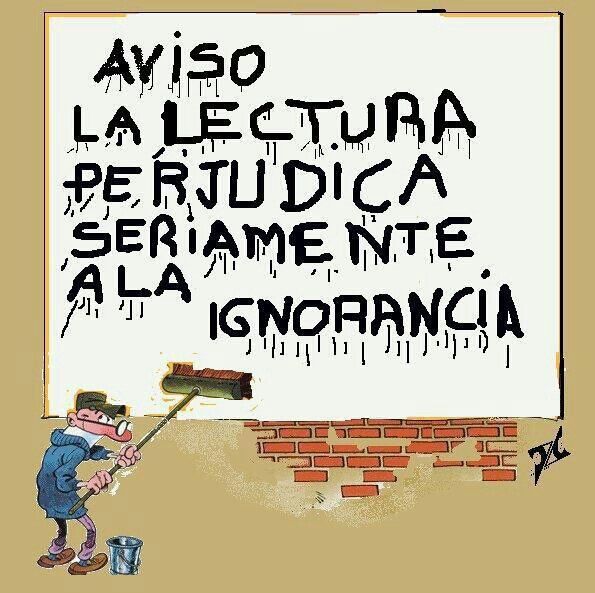 Comprender es más que leer