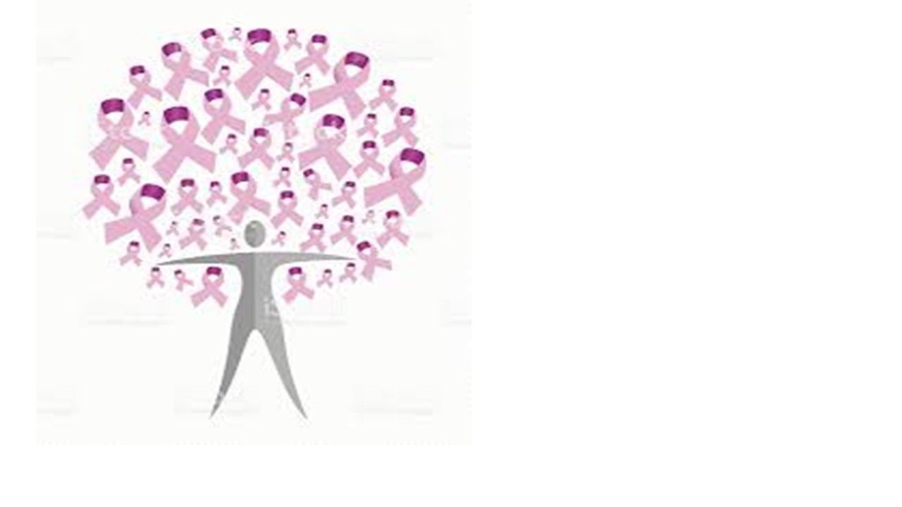 Sesión 52: Salud Reproductiva