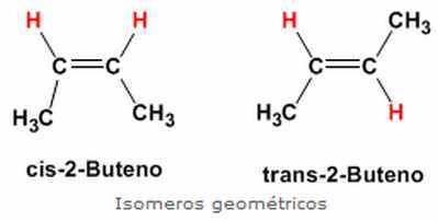 ISOMERÍA GEOMÉTRICA O CIS-TRANS Los átomos de carbono unidos por un doble enlace, a diferencia de los unidos por enlaces sencillos, no ti...