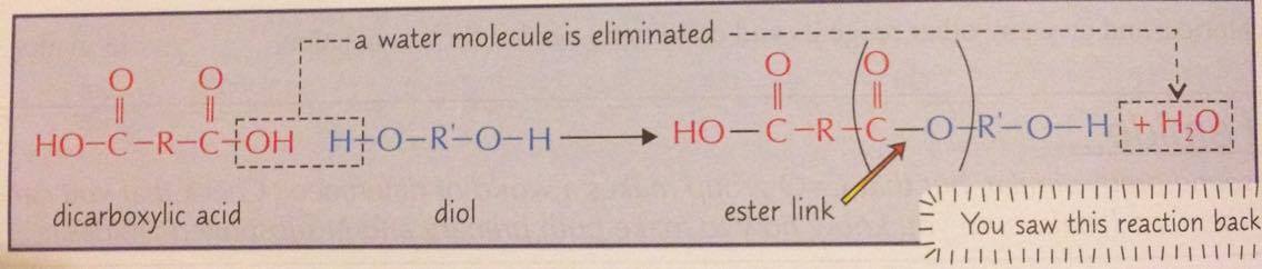 How are polyesters formed? Give the equation and label the ester link