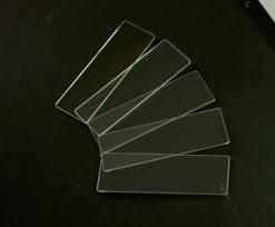 to hold objects for examination under a microscope
