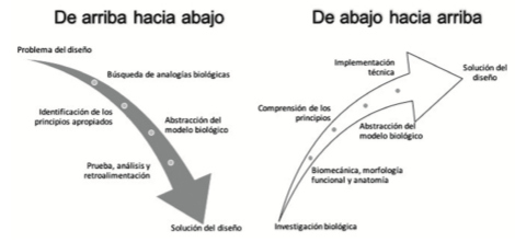 Biomímesis, Visión Biocéntrica de la Historia, Guerreros del Antropoceno