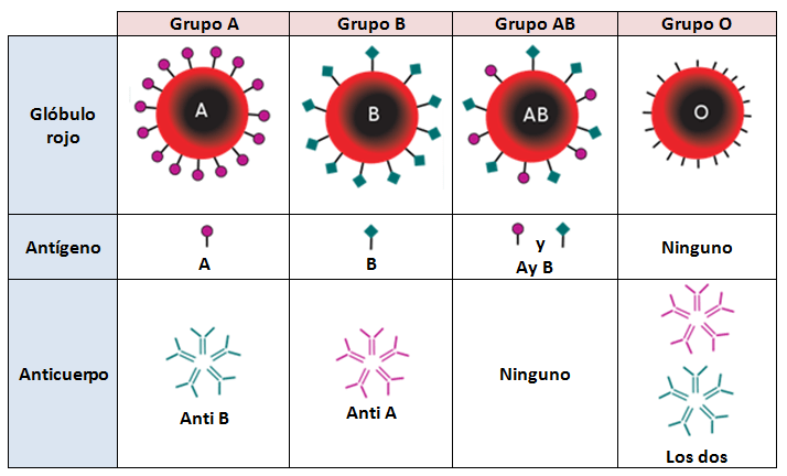 Dador universal y Receptor universal