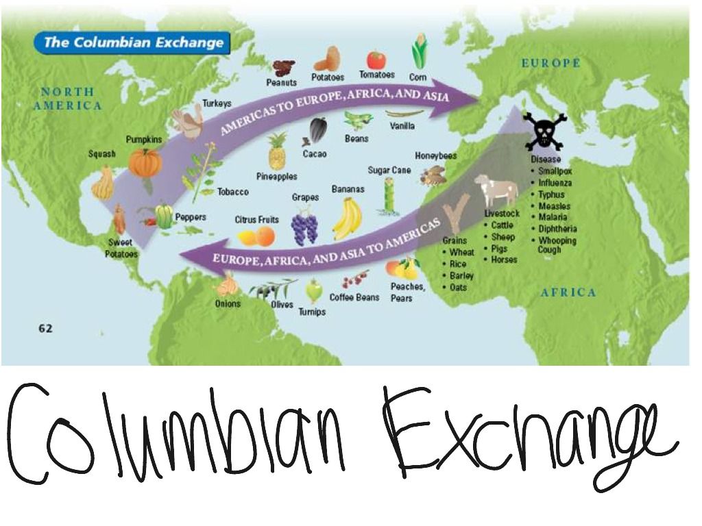 The exchange of plants, animals, diseases, and technologies between the Americas and the rest of the world following Columbus's voyages.