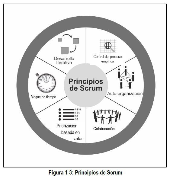 Seis Principios Scrum