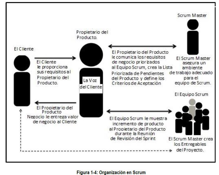Organizacion de Scrum