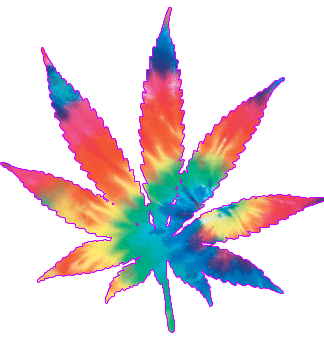 La Marihuana Forma de uso: Fumada o Consumida Datos: Alucinogena, Ilegal y sintética.