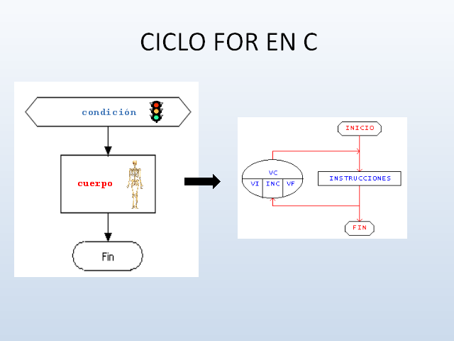 CICLO FOR