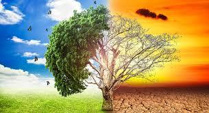 El descuida en el medio ambiente ha tenido grandes consecuencias; como lo es el cambio climático. El cambio climático es considerado uno ...