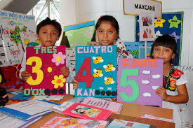 Parámetros Curriculares para la educación indígena