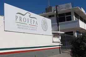 Por la existencia de estos acontecimientos surgieron asociaciones y/o sociedades para defender el entorno ambiental, como el caso de la P...